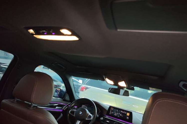 Used BMW 5 Series 2020 525Li M Sport Package Headliner
