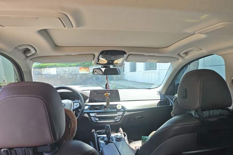 Used BMW 5 Series 2020 530Li xDrive Luxury Package Headliner