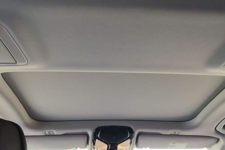 Used BMW 5 Series 2020 530Li Luxury Edition Premium Package Headliner