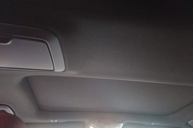 Used BMW 5 Series 2020 530Li Luxury Edition M Sport Package Headliner