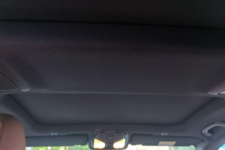Used BMW 5 Series 2020 530Li Leading Model M Sport Package Headliner