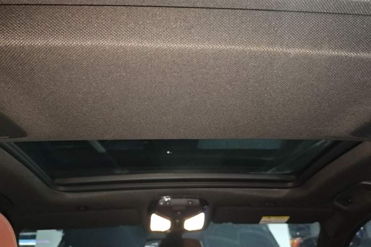Used BMW 5 Series 2020 530Li Leading Model M Sport Package Headliner