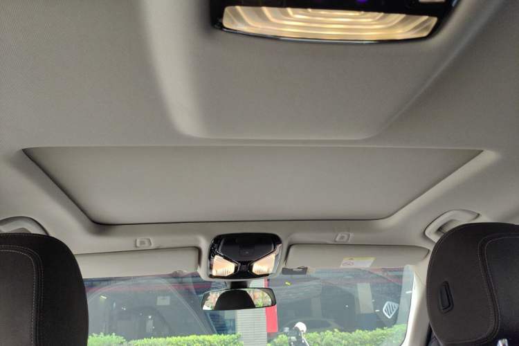 Used BMW 5 Series 2020 525Li Luxury Package Headliner