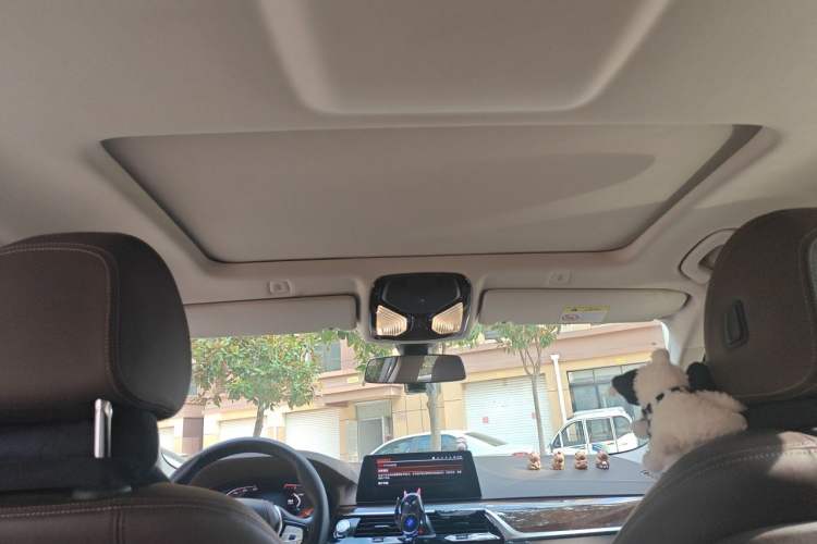 Used BMW 5 Series 2020 525Li Luxury Package Headliner