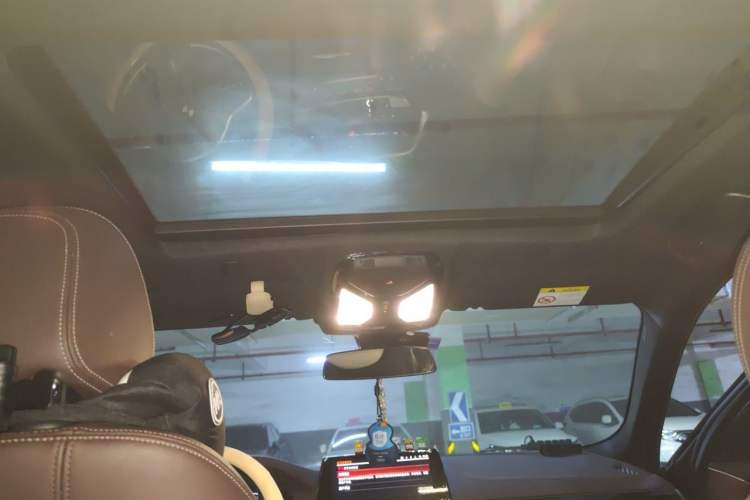 Used BMW 5 Series 2020 525Li M Sport Package Headliner