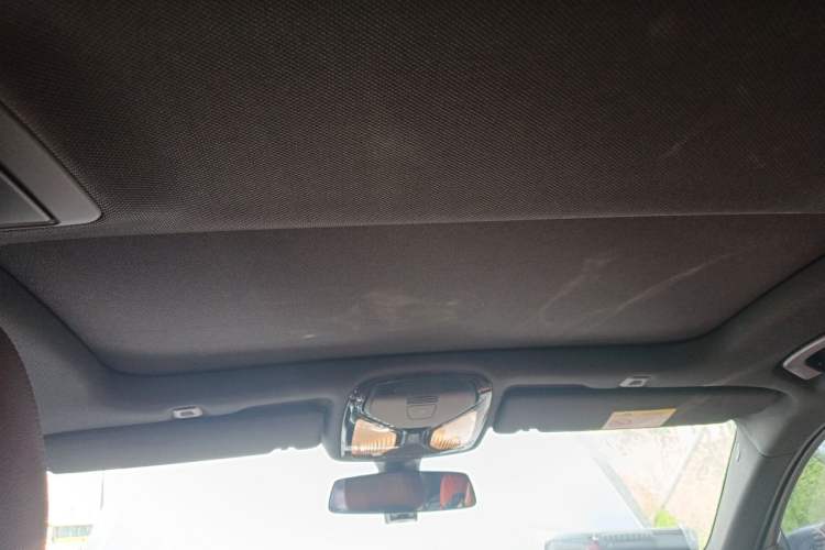 Used BMW 5 Series 2020 530Li xDrive M Sport Package Headliner