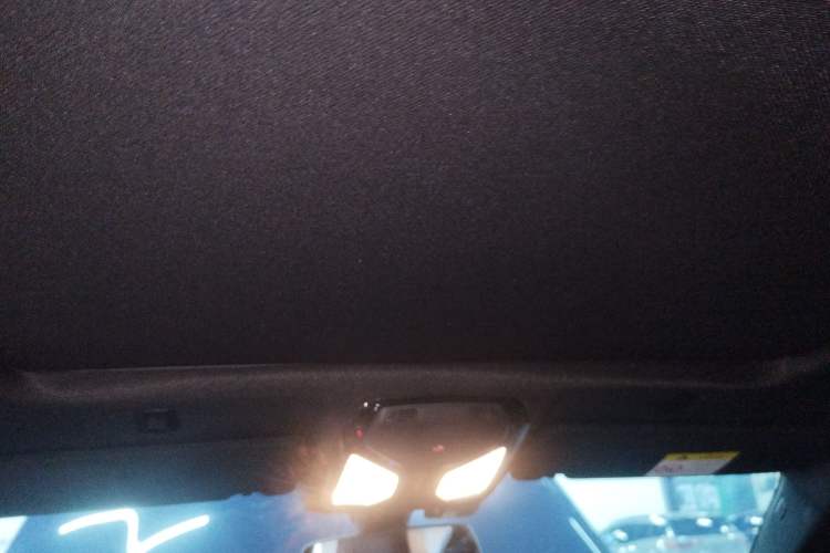 Used BMW 5 Series 2020 525Li M Sport Package Headliner