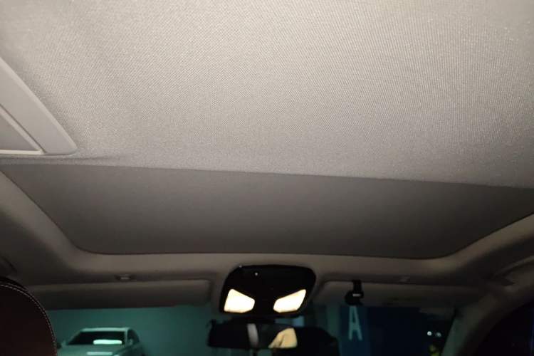 Used BMW 5 Series 2020 530Li Leading Edition Luxury Package Headliner