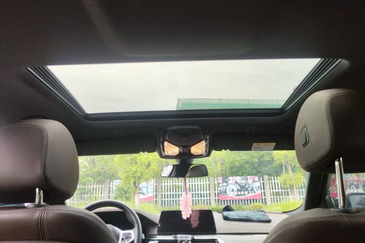 Used BMW 5 Series 2020 525Li M Sport Package Headliner