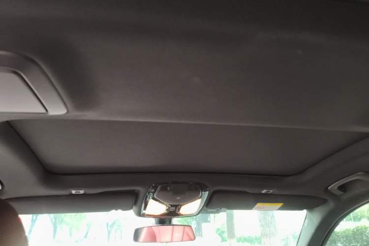 Used BMW 5 Series 2020 530Li xDrive M Sport Package Headliner
