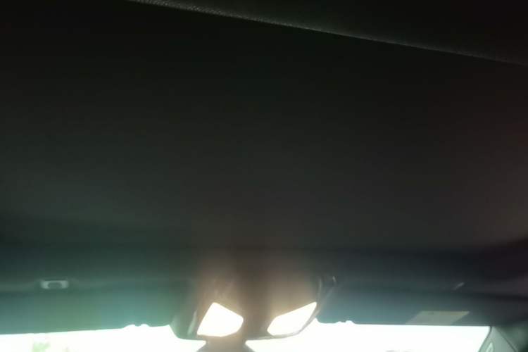 Used BMW 5 Series 2020 530Li Leading Model M Sport Package Headliner