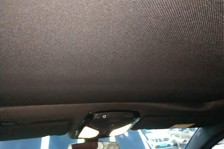Used BMW 5 Series 2020 530Li Luxury Edition M Sport Package Headliner