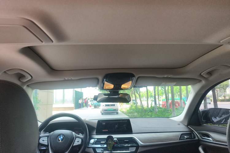 Used BMW 5 Series 2020 530Li Leading Edition Luxury Package Headliner