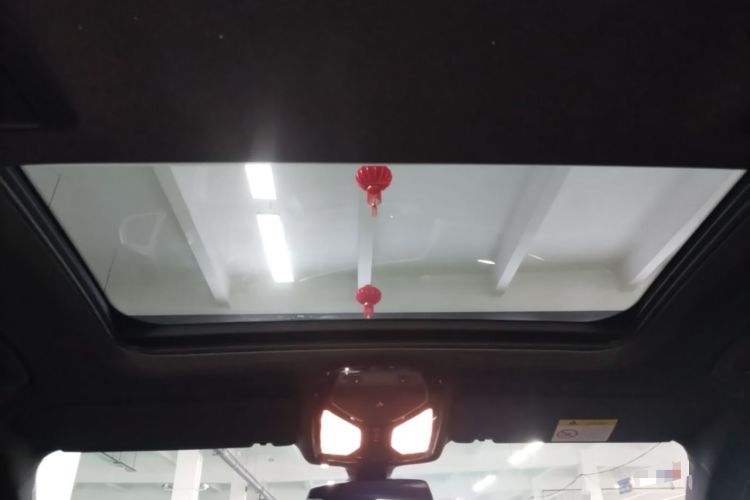 Used BMW 5 Series 2020 530Li Leading Model M Sport Package Headliner
