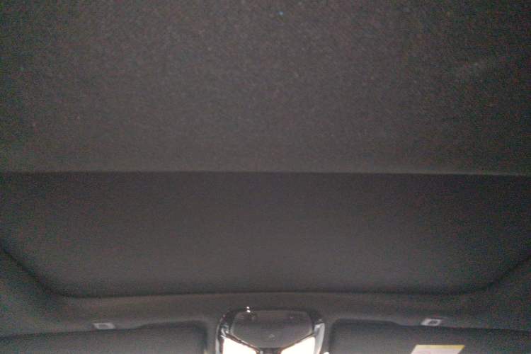 Used BMW 5 Series 2020 530Li Leading Model M Sport Package Headliner