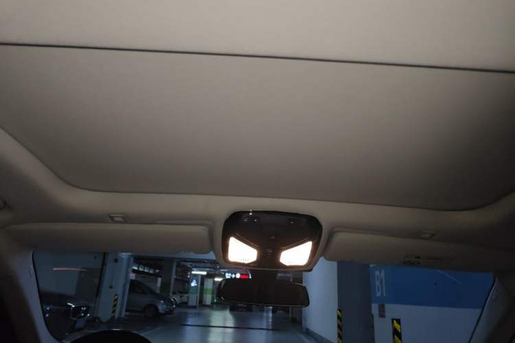 Used BMW 5 Series 2020 530Li Leading Edition Luxury Package Headliner