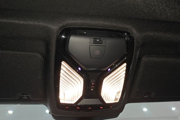 Used BMW 5 Series 2020 530Li Leading Model M Sport Package Headliner