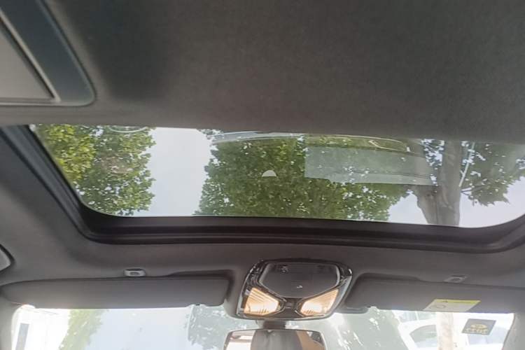 Used BMW 5 Series 2020 530Li Leading Model M Sport Package Headliner