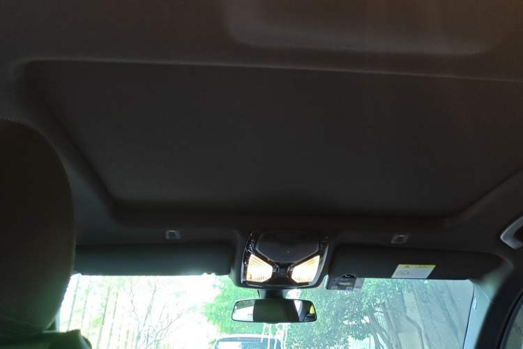 Used BMW 5 Series 2020 525Li M Sport Package Headliner