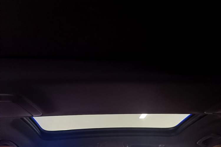 Used BMW 5 Series 2020 530Li Luxury Edition M Sport Package Headliner