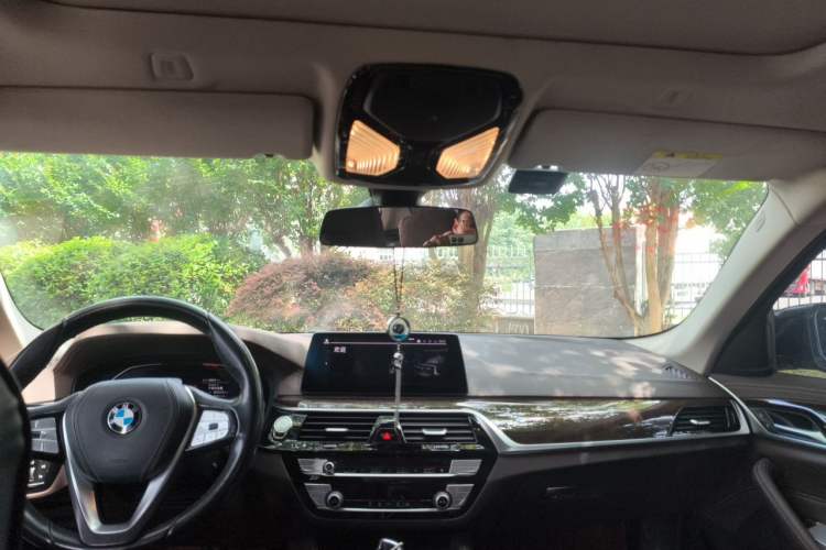 Used BMW 5 Series 2020 525Li Luxury Package Headliner