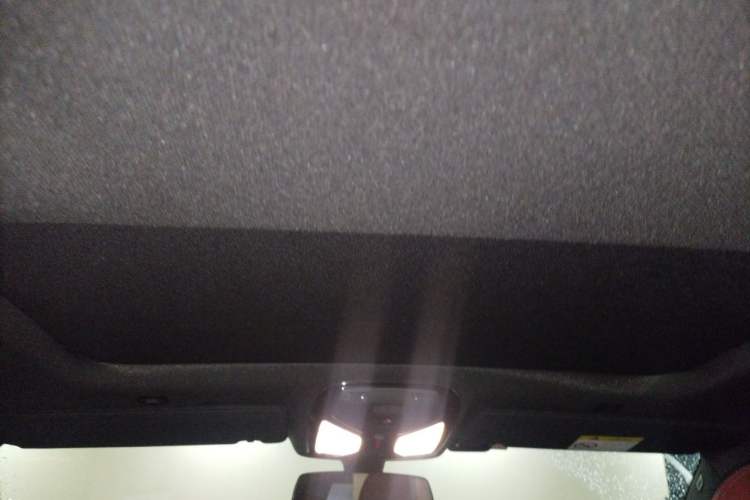 Used BMW 5 Series 2020 530Li Leading Model M Sport Package Headliner