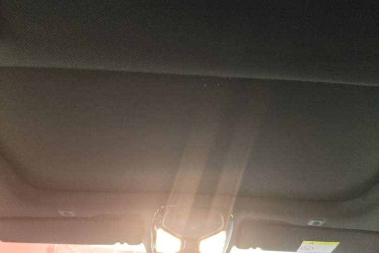 Used BMW 5 Series 2020 530Li Leading Model M Sport Package Headliner