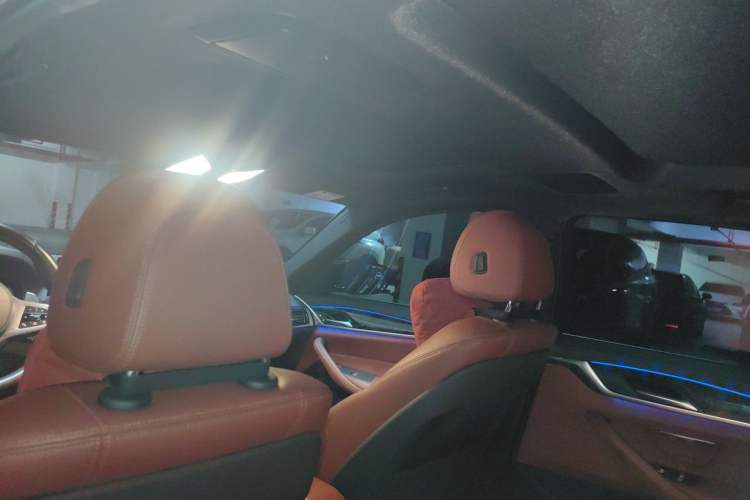 Used BMW 5 Series 2020 530Li Leading Model M Sport Package Headliner