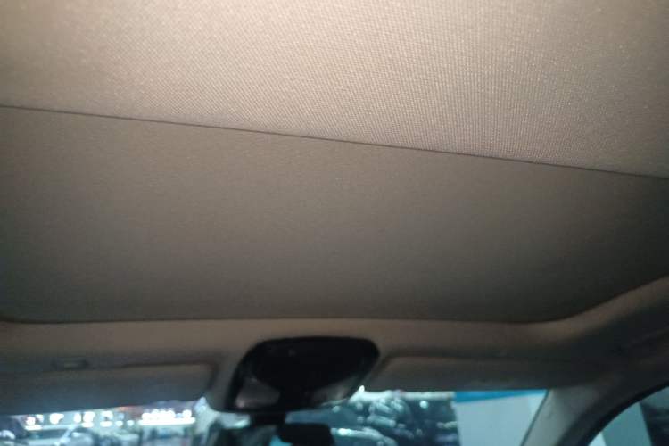Used BMW 5 Series 2020 530Li Leading Edition Luxury Package Headliner