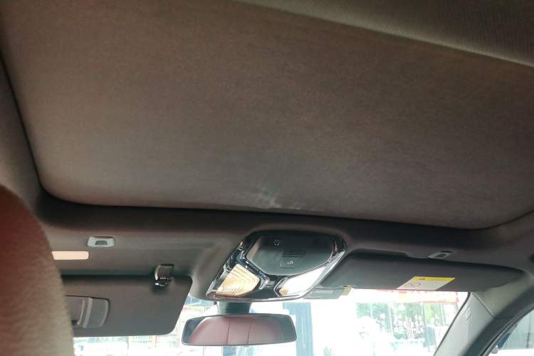 Used BMW 5 Series 2020 530Li Leading Model M Sport Package Headliner
