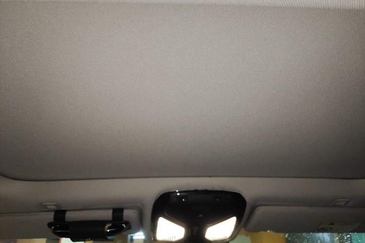 Used BMW 5 Series 2020 530Li Leading Edition Luxury Package Headliner