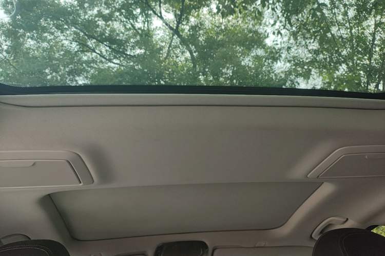 Used BMW 5 Series 2020 530Li Leading Edition Luxury Package Headliner