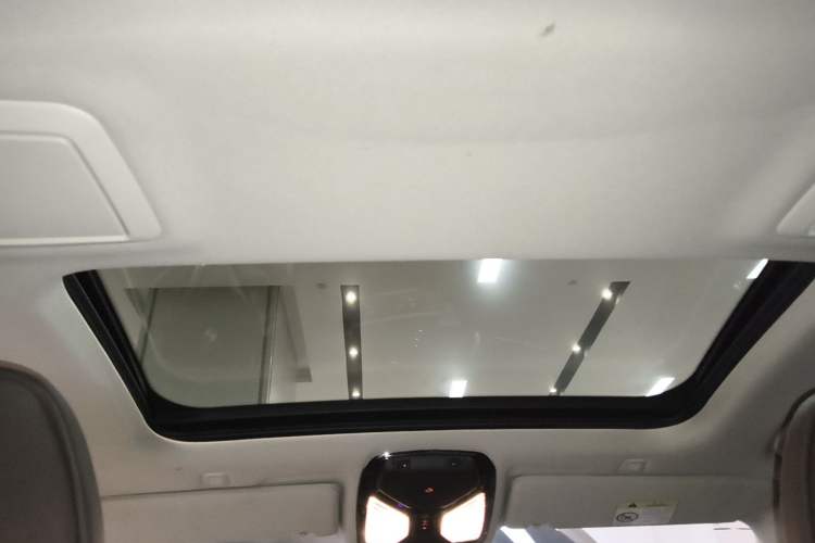 Used BMW 5 Series 2020 530Li Luxury Edition Premium Package Headliner