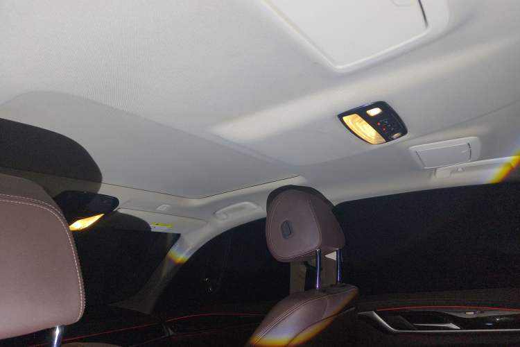 Used BMW 5 Series 2020 525Li Luxury Package Headliner
