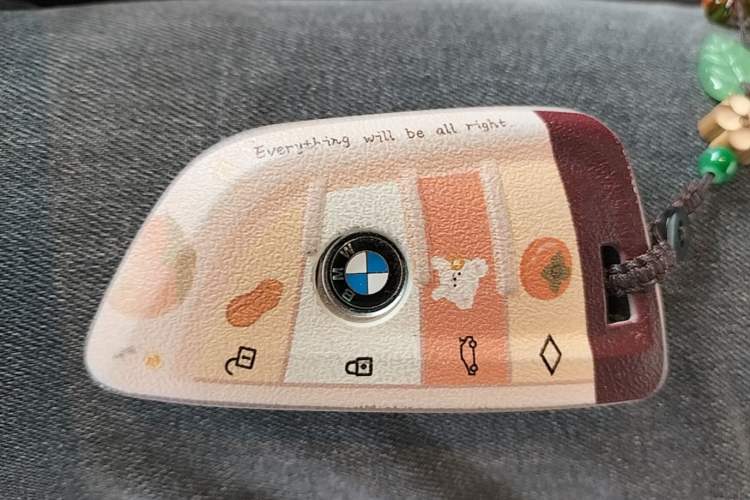 Used BMW 5 Series 2020 525Li M Sport Package Interior 1