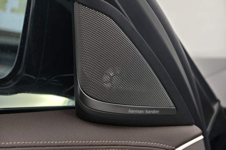 Used BMW 5 Series 2020 530Li Luxury Edition Premium Package Interior 9
