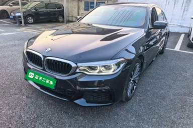Used BMW 5 Series 2020 530Li Leading Model M Sport Package