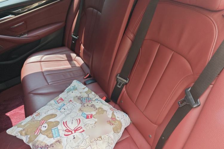 Used BMW 5 Series 2020 530Li Leading Model M Sport Package Left Rear Seat