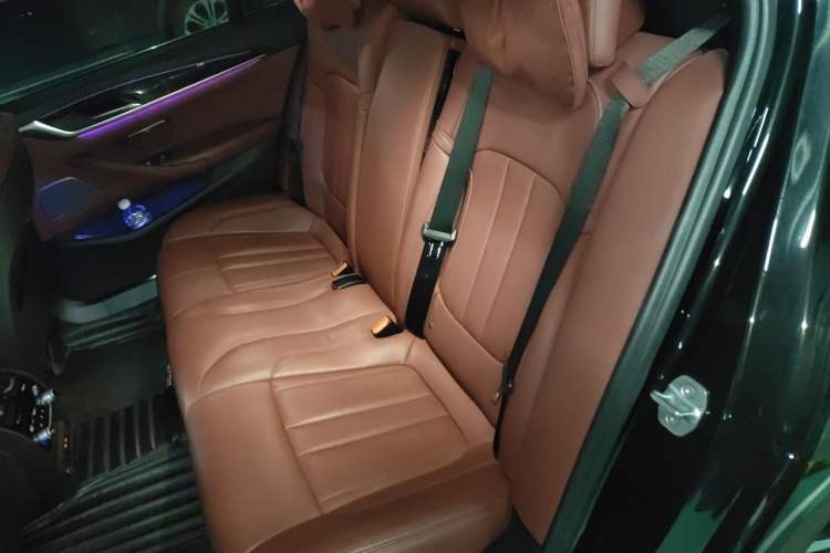 Used BMW 5 Series 2020 530Li Luxury Edition M Sport Package Left Rear Seat
