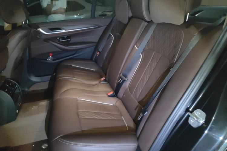 Used BMW 5 Series 2020 530Li Leading Edition Luxury Package Left Rear Seat