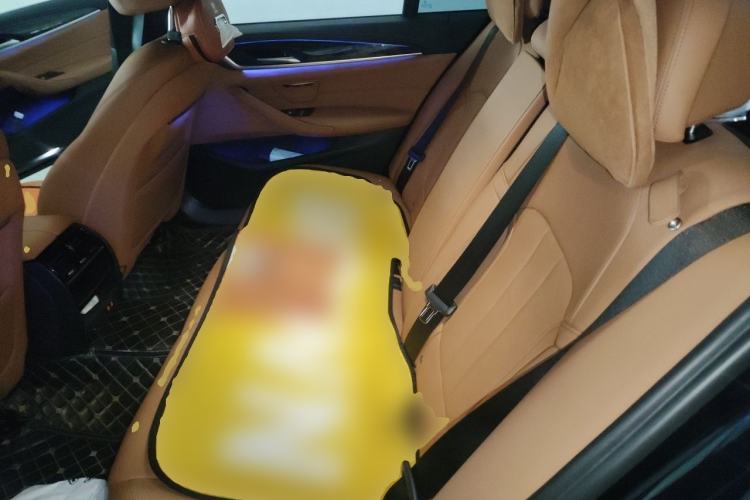 Used BMW 5 Series 2020 530Li Leading Model M Sport Package Left Rear Seat