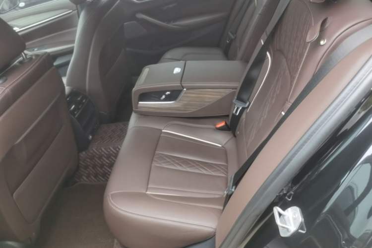 Used BMW 5 Series 2020 530Li Leading Edition Luxury Package Left Rear Seat