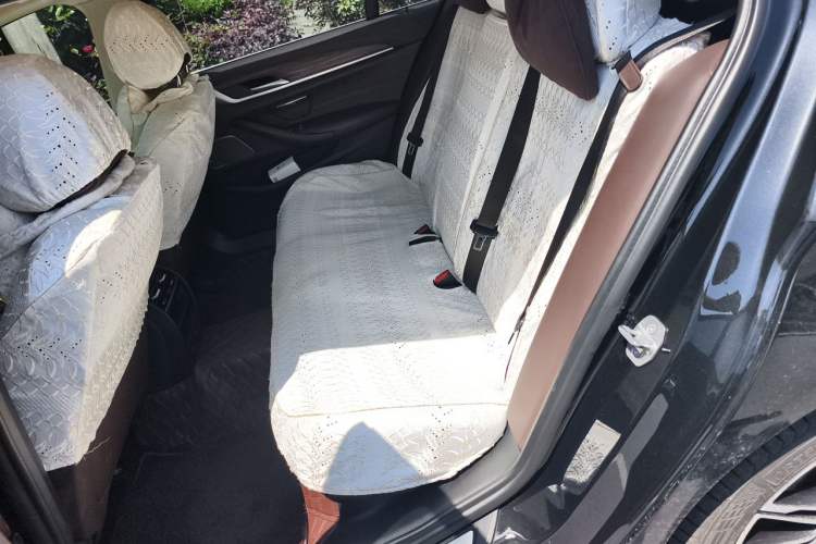 Used BMW 5 Series 2020 530Li Leading Edition Luxury Package Left Rear Seat