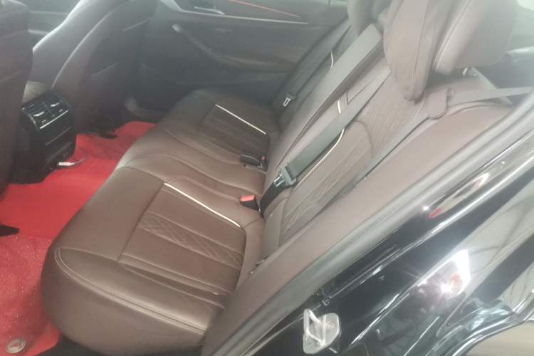 Used BMW 5 Series 2020 530Li xDrive Luxury Package Left Rear Seat