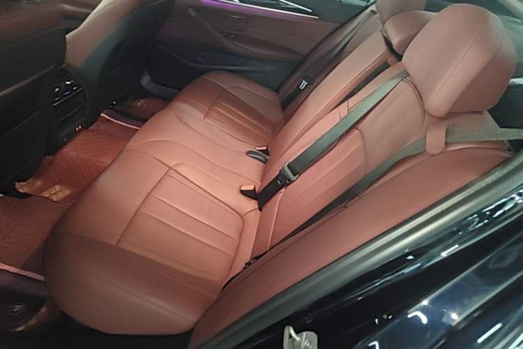 Used BMW 5 Series 2020 530Li Leading Model M Sport Package Left Rear Seat