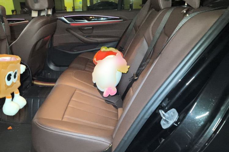 Used BMW 5 Series 2020 525Li Luxury Package Left Rear Seat