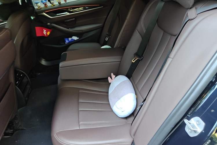 Used BMW 5 Series 2020 525Li M Sport Package Left Rear Seat