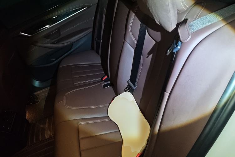 Used BMW 5 Series 2020 525Li M Sport Package Left Rear Seat