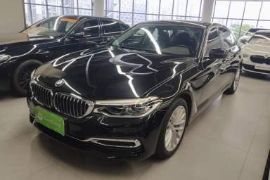 Used BMW 5 Series 2020 530Li Leading Edition Luxury Package