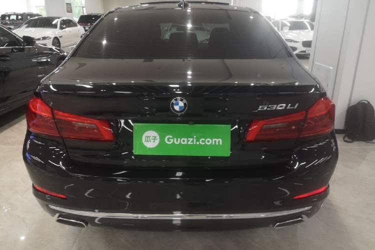 Used BMW 5 Series 2020 530Li Luxury Edition Premium Package Rear